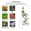1 PC Garden Obelisk Trellis for Climbing Plants, Rustproof Metal Support with Stable Triangular Design 47.2in 4