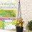 1 PC Garden Obelisk Trellis for Climbing Plants, Rustproof Metal Support with Stable Triangular Design 47.2in 5