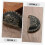 10pcs Vintage Copper Cabinet Knobs and Antique Drawer Pulls for Wardrobes Durable Decorative Design 3