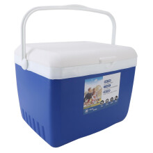 13L Insulated Cooler Box, Leakproof Ice Chest with Carry Handle for Camping and Picnic, Blue