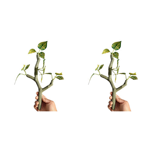 2PCS Decorative Climbing Vine for Reptiles FishTanks-23