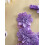 (18-24 Months, Violet) Letní oblečení pro s mašlí 8