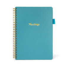 (Blue) Meeting Notes Notebook Meeting Book for Note Taking With Action Items for Work