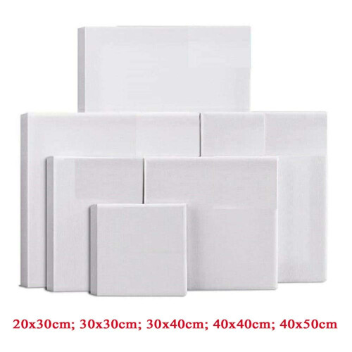 Professional Blank Artist Canvas Board 20x30cm ReadytoPaint Surface with Stable Framed Support 2