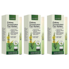 (3pcs) Lung Cleanse with Herbal Diffuser Pen