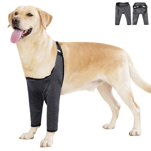 Attelle de jambe de chien confortable pour les soins-S 1
