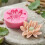 Moules à fleurs en silicone efficaces adaptés à la-Blanc 5