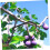 30Pcs Adjustable Fruit Tree Branch Spreader Clips with Smooth Bark Protection for Garden Use 5