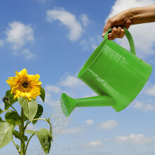 Green 1L Metal Watering Can for Indoor Plants, Rust‑Resistant Steel Body and Long Spout