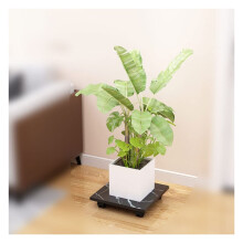 Plant Caddy with Wheels Black 25cm, Durable Wooden Stand with 360 Rotating Rollers for Indoor Outdoor Use