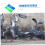 2pcs Pigeon Ring Holder Set, Durable Poultry Foot Ring Organizer Rack for Loft Use 2