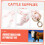 Adjustable Cattle Halter Rope 5m Durable Polypropylene Long Continuous Length for Cows and Sheep 4