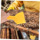 Multifunction Honey Scraper Beekeeping Tool for Precision Wax Removal and Easy Frame Lifting 4