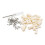 (Style B, 33 teeth) Dental Demonstration Teeth Model With All Removable Teeth Standard Study Teach 1