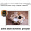4 Pack Solid Wood Furniture Risers 10cm Height Boost HeavyDuty Pine Legs for Bed Sofa Table 4