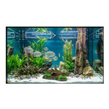 Decoração de aquário subaquático naufrágio esconderijos para peixes 23 cm