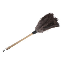 Natural Ostrich Feather Duster with Handle for Home and Car, Lightweight Dusting Brush