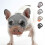 (S, Grey-orange) Short Snout Dog Muzzles,bulldog Muzzle Adjustable Breathable Mesh Dog Muzzle For Briting Chewing 1