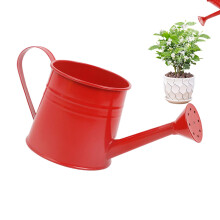 Metal Watering Can 1L Long Spout for Indoor and Outdoor Plants, Precise Flow Control, Red Durable Design