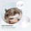 Hamster En PVC Avec Échelle 5
