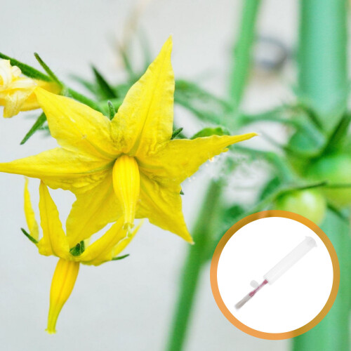 Accessoire Pollinisateur Multi Usage Pour Potager 2