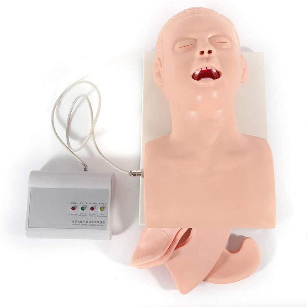 Adult Electronic Airway Management Training Manikin with Realistic Simulation and Error Alarm System
