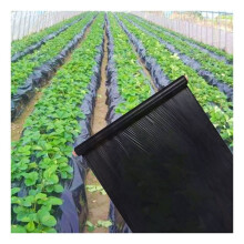 Black Plastic Mulch 0.8m x 20m Greenhouse Film for Vegetables and Strawberries, Durable Weed Control