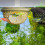 Decorative Floating Betta Hide Cave Hideaway Aquarium Feeding 4
