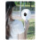 Compact Desktop Cooling Fan 100 Adjustable Speed Handheld-Grey 7