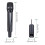 (One Drag One) Wireless Microphone System with Receiver Professional Wireless Microphone Kit for Party Singing 2
