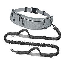 Twirling Clip Dog guide For Exercise And Training-Gray
