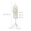 Make-up mannequin met verstelbare hoogte 4