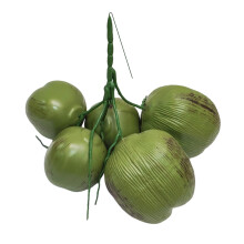 High Quality ABS Plastic Coconuts Fruit Simulation-5 heads