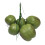 High Quality ABS Plastic Coconuts Fruit Simulation-5 heads 1