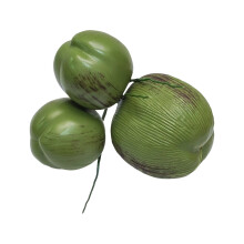 Delicate Simulation Coconuts Vegetable Model Perfect-3 heads