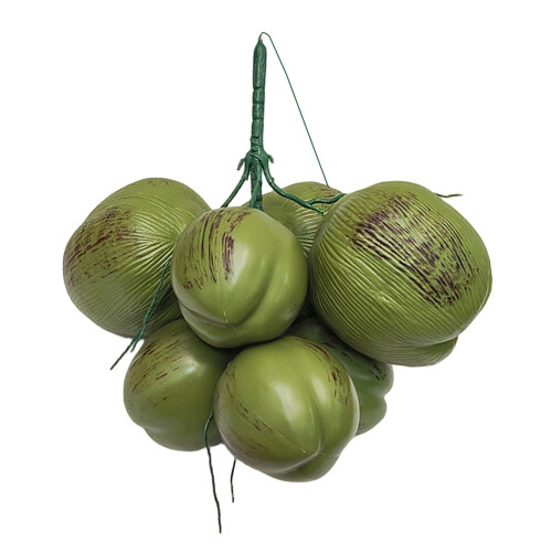 Delicate Simulation Coconuts Vegetable Model Perfect-7 heads