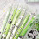 6-teiliger Neutralstift mit 0,5-mm-Spitze und Druckdesign,-1 3