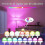 USB Rechargeable Light Bulb with Remote Control Timer Dimmable Easy to Install Battery Powered E27 Light Bulb RGB Lamp_M 3
