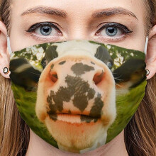 Funny Print Breathable Reusable Face Mask with Adjustable Unisex Fit for Indoor and Outdoor Use