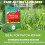 Westland Westland Gro-Sure Fast Acting Lawn Seed 30m² 5