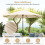 Patio Umbrella 300cm with Solar LED Lights, 9 Modes 3