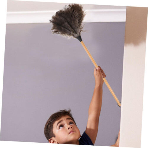 Soft Fluffy Duster with Non‑Slip Beech Handle for Scratch‑ Home and Office Cleaning 2