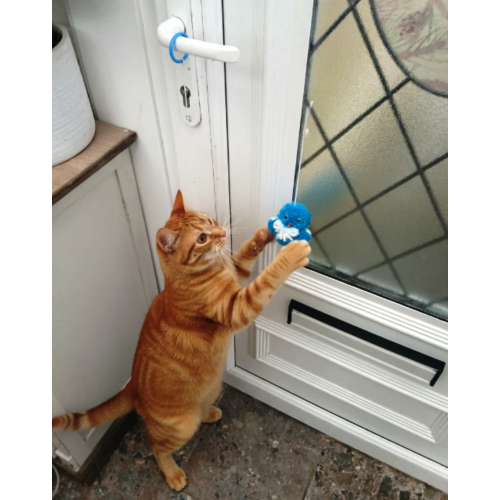 Catnip Budgie pom pom bungee toy 1