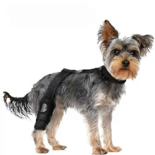 (M) Dog ACL Knee Brace Dog Knee Brace for Torn ACL Hind Leg,Dog Knee Support with Cruciate Ligament Injury, for Arthritis,Hip Pain