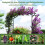 Metalhavebue til klatreplanter, 170x39x210 cm, sort 3