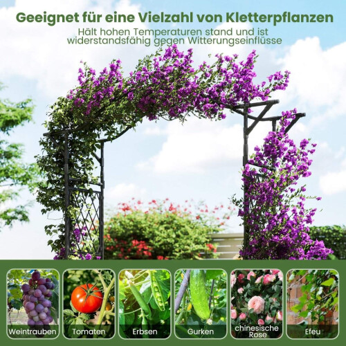 Metalhavebue til klatreplanter, 170x39x210 cm, sort 2