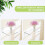 4er-Pack transparente Acryl-Wandregale (5 mm) 4