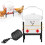 2 Gallon Heated Chicken Waterer, Automatic AntiFreezing Poultry Drinker for Winter Coop 1