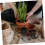 10pcs Hydroponic Net Pots with Efficient Drainage Reusable Plastic Planter Cups for Indoor Gardening 4