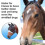 (L, Black) Shires Fine Mesh Earless Horse Fly Mask 3